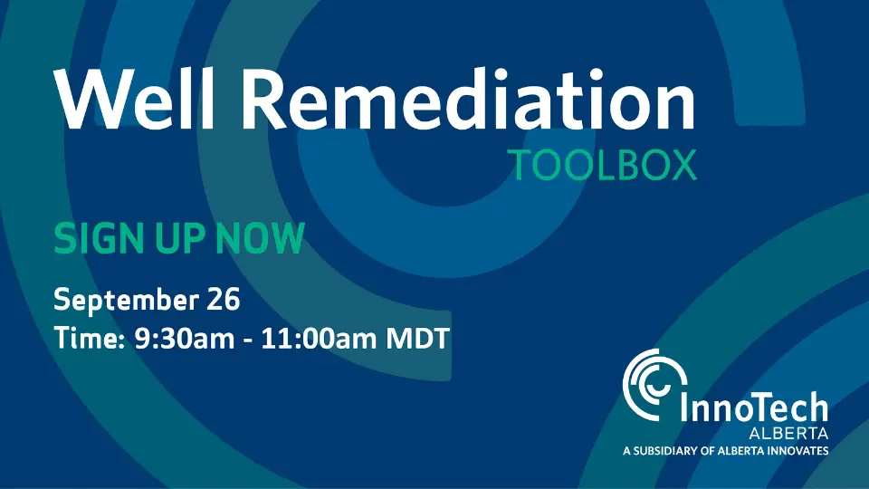 Well Remediation Toolbox