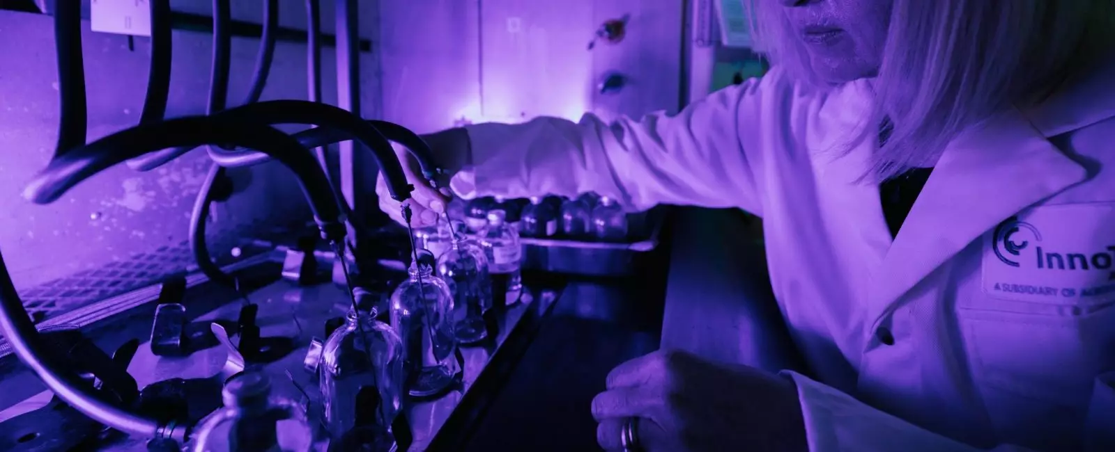 A worker testing different bottled samples in a lab