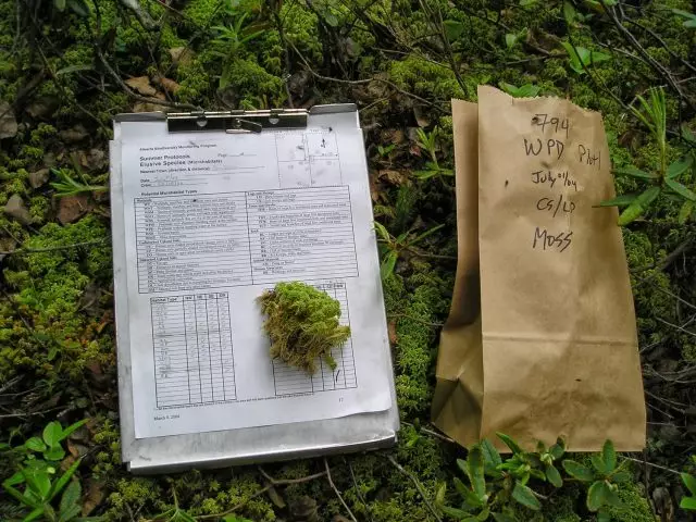 a data sheet being used during moss collection for on-site biodiversity monitoring