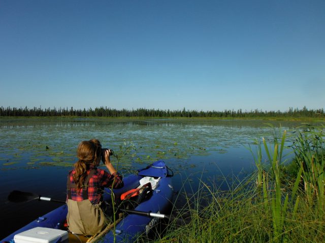 Female researcher in a boat on a lake outside Fort McMurray