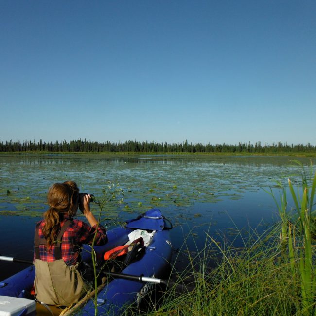 Female researcher in a boat on a lake outside Fort McMurray