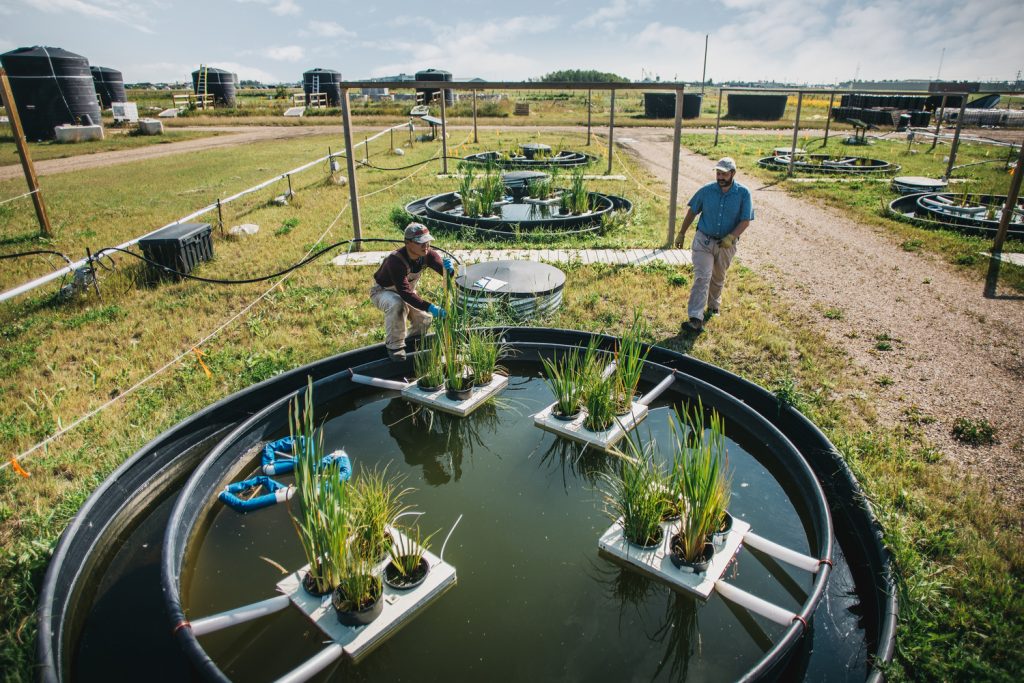 Mesocosm Test Facilities - InnoTech Alberta