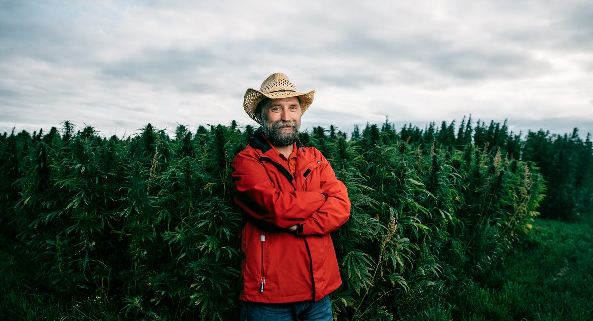 Man in red jacket standing in front of field of hemp