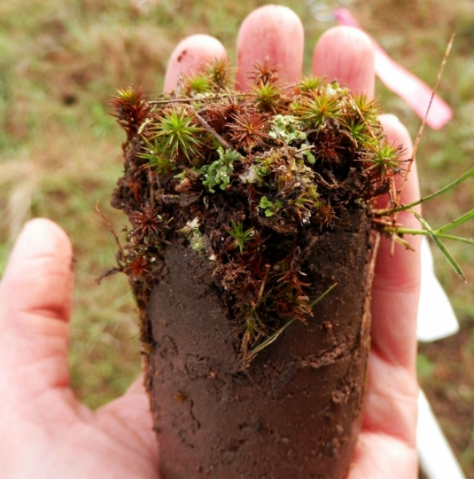 A person holding a round soil sample in their hand