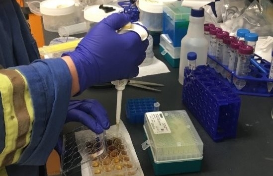 • Microbial Influenced Corrosion (MIC) & Biocide killing tests.